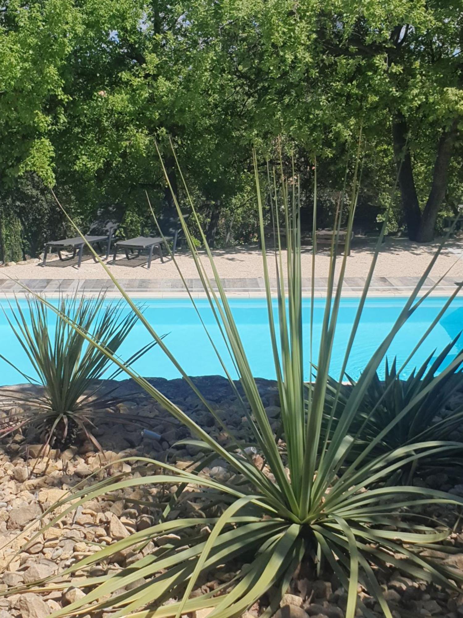 Le Soleil Du Ventoux Villa Entrechaux Kültér fotó